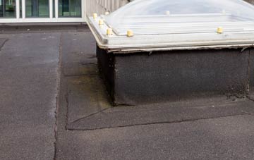 disadvantages of Holmsleigh Green flat roofs