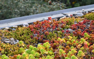 the cost of Holmsleigh Green green roof installation