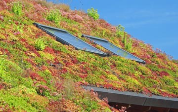 Holmsleigh Green living roof systems