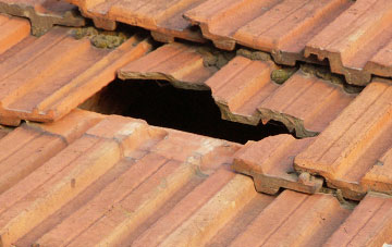 roof repair Holmsleigh Green, Devon